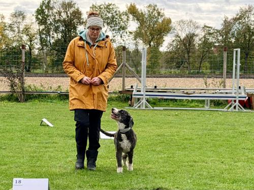 Image-17