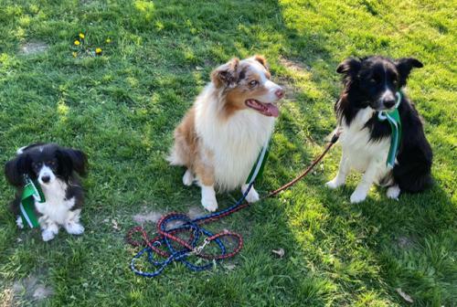 16f5e111-e2d5-40fd-b0c1-74475a6e30aa