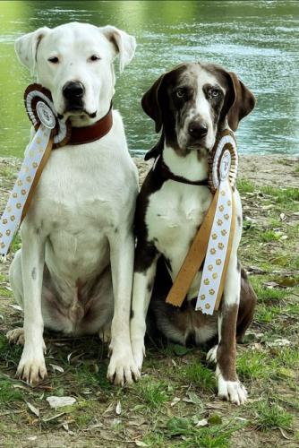 3d009920-a3ea-4158-b4a8-0985dd4d3eb3