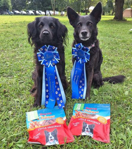 630d434f-dbcd-43b0-a56c-ad669ceeab8d