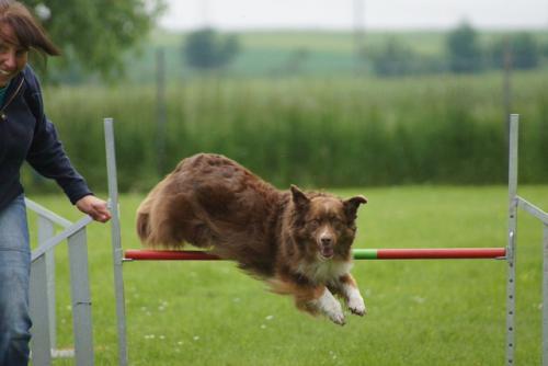 Agility