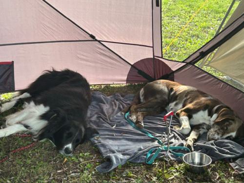 9987e4e6-faab-4931-9935-96b590b3c6f9