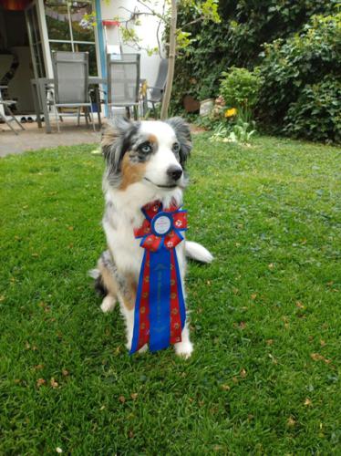 a5ff17a9-13a1-4adb-9de1-9da0d235b320