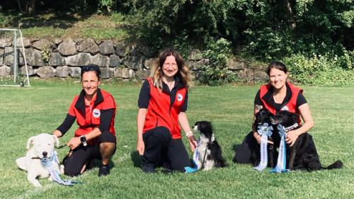 c27aa652-f588-407e-97bc-9b41fba10ca9