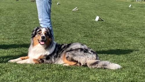 c4594089-219d-43af-9583-0342b073381c