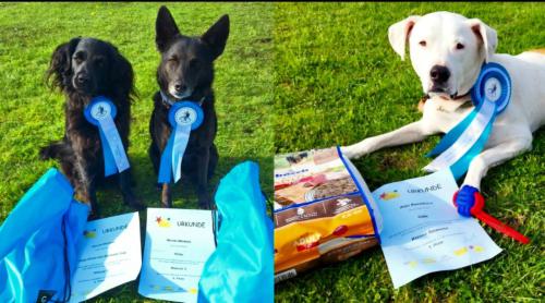 f973034b-9b1f-49a2-ac3a-fee66810aa8e